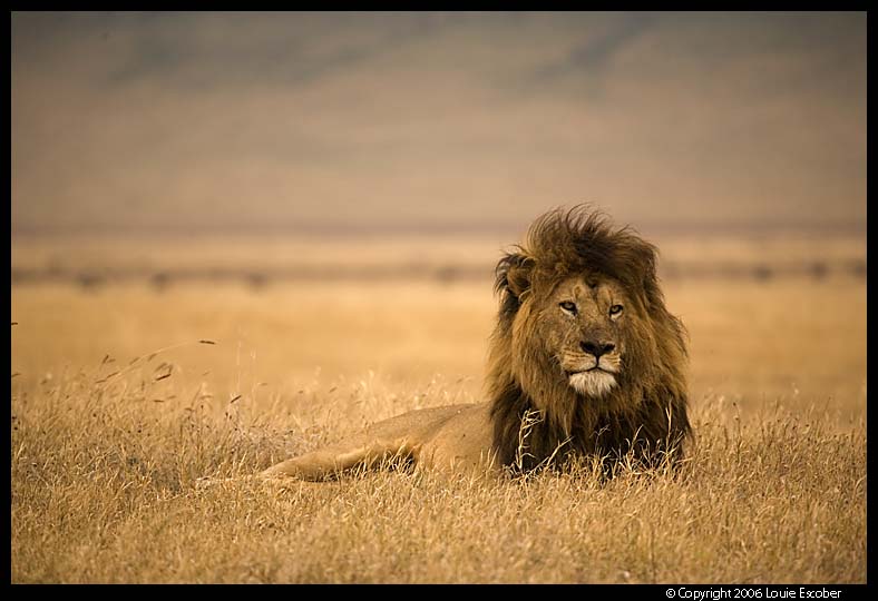 Ngorongoro_2480.3.jpg