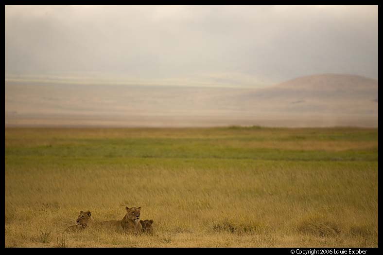 Ngorongoro_2550.3.jpg