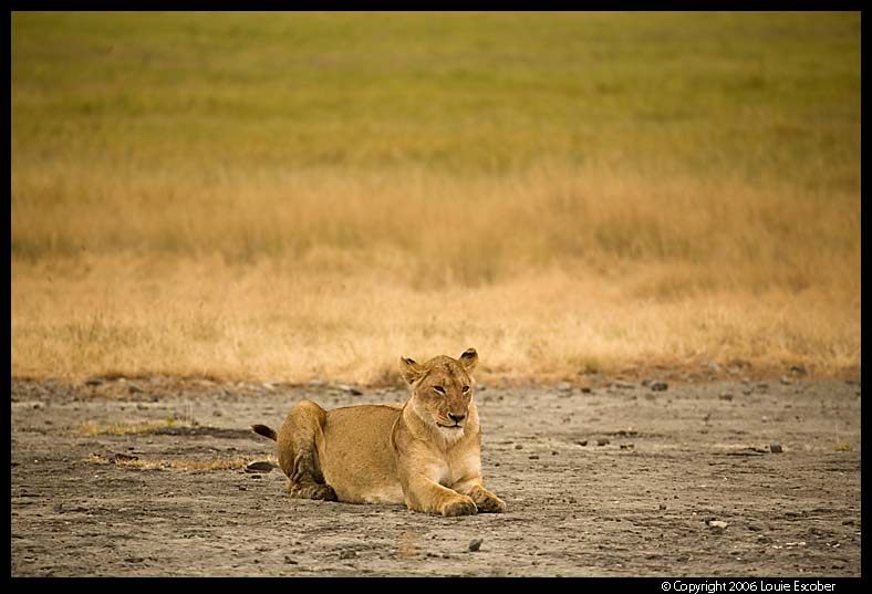 Ngorongoro_2582.3.jpg