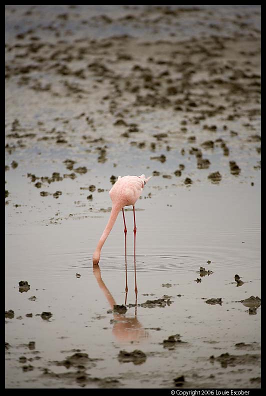 Ngorongoro_2611.3.jpg