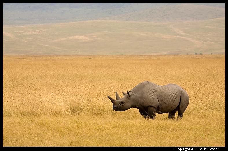 Ngorongoro_2760.3.jpg