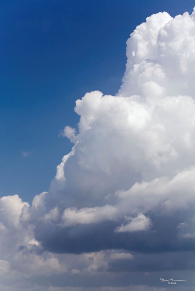 IMG_5449_ACR_crop_levels_NI_sig.jpg