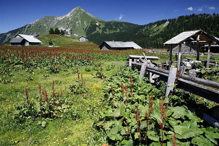 Les chalets de Lens