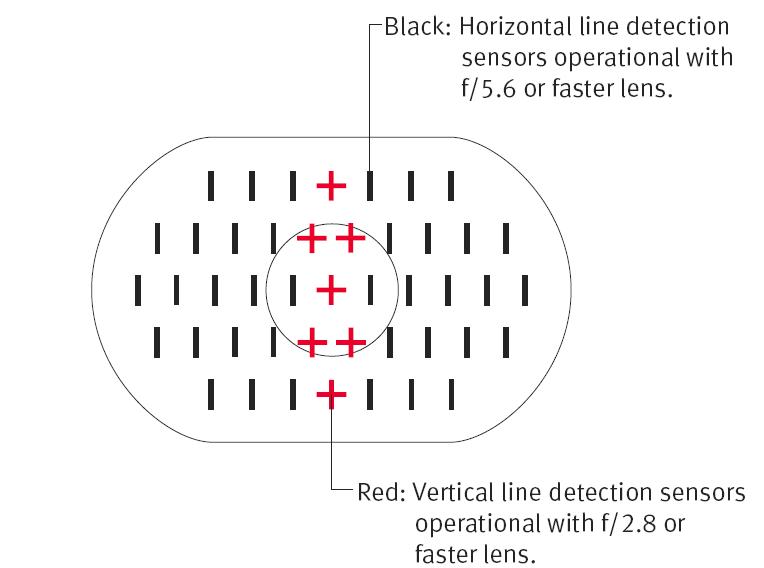 1D/1Ds Focus Sensors