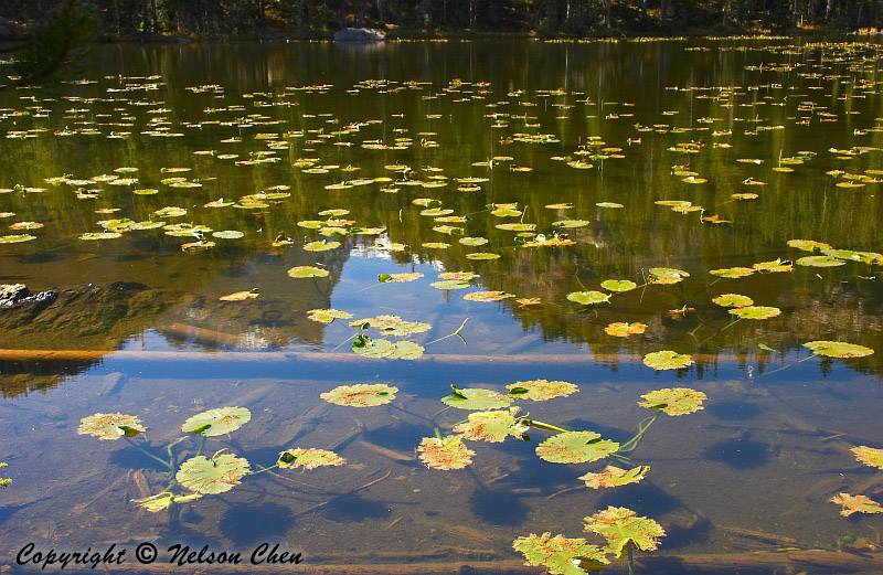 Nymph Lake