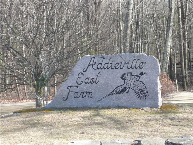 P1070930 (Small).JPG