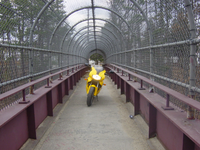 over the bridge.jpg