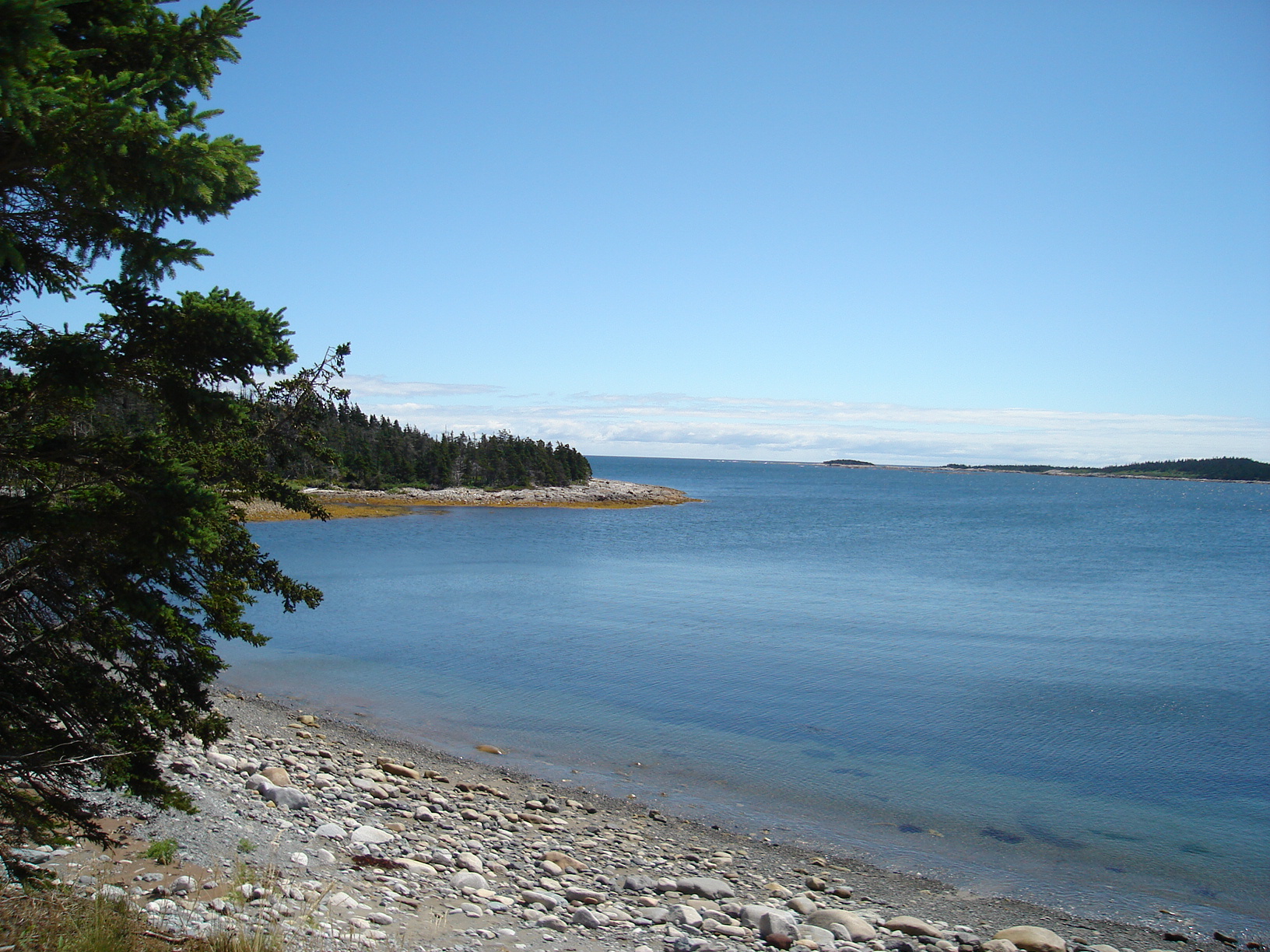 DSC00488.JPG