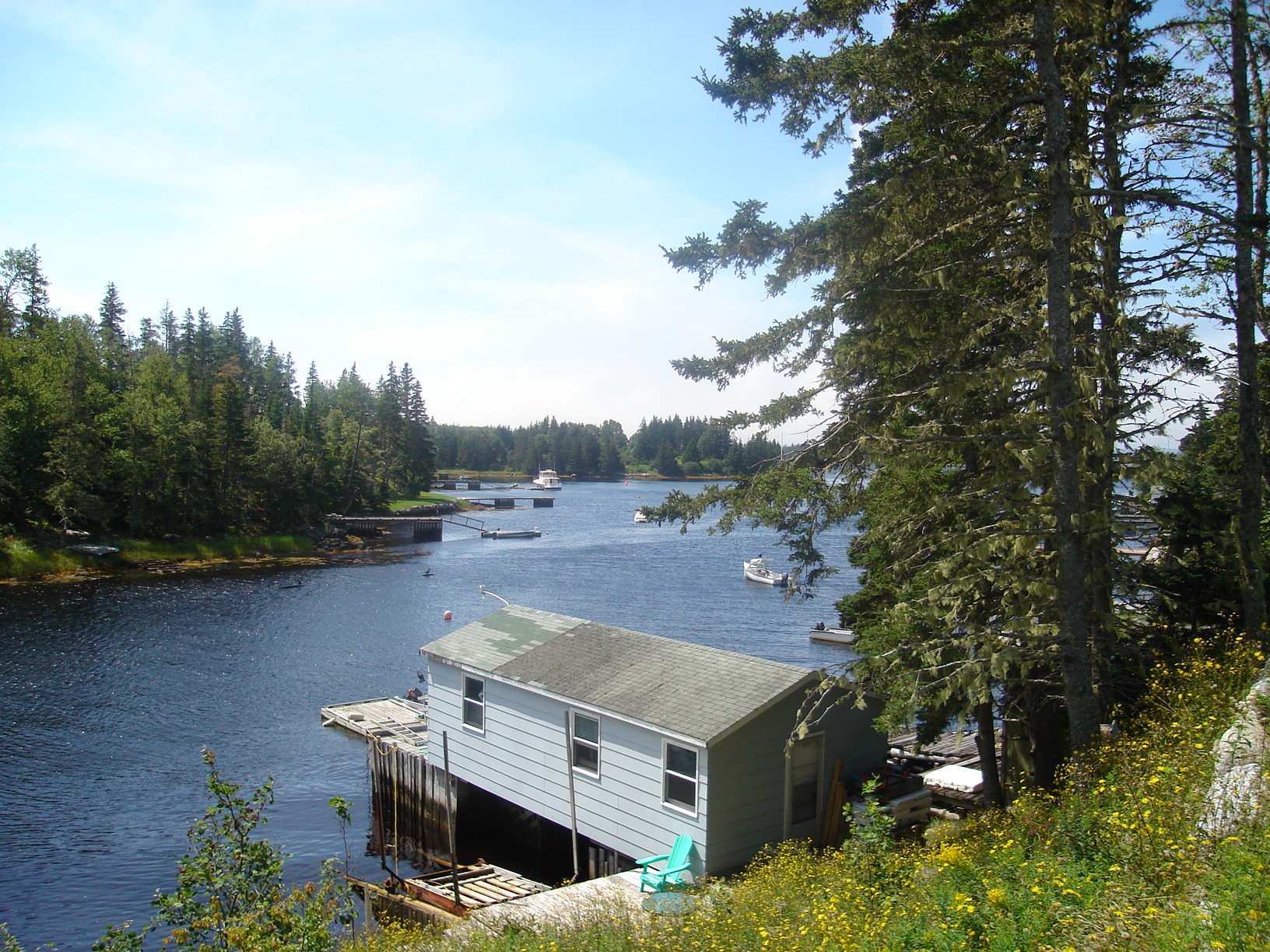 DSC00574.JPG