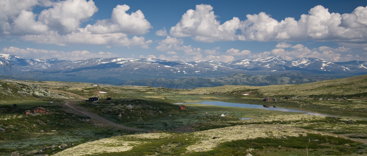 Dovrefjell - view from the road Vgm - Lesja