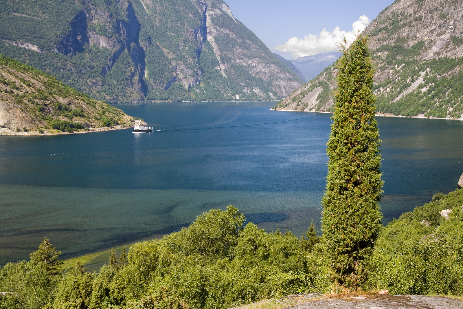 Lrdal, Sognefjorden