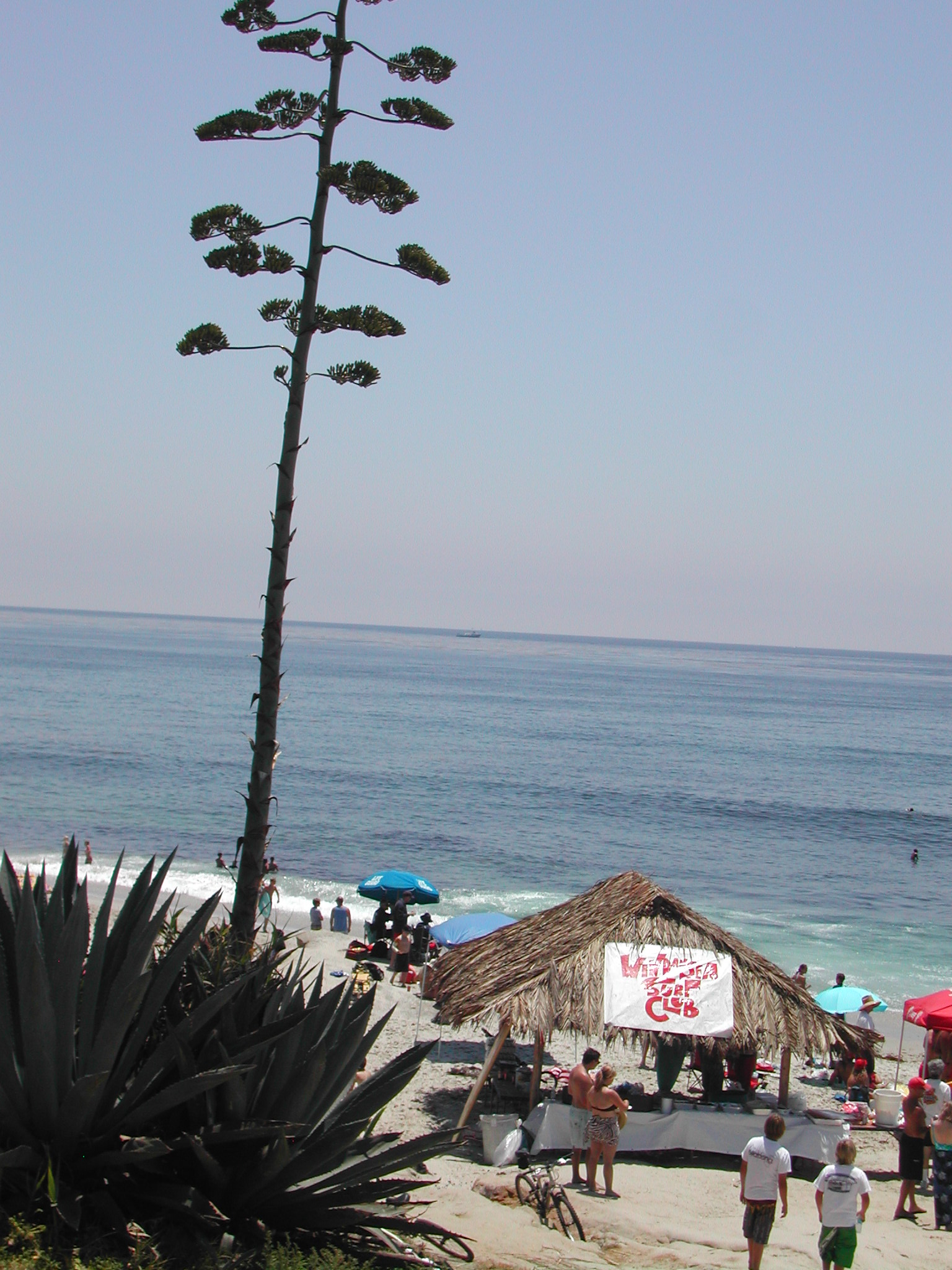 B0000497.JPG