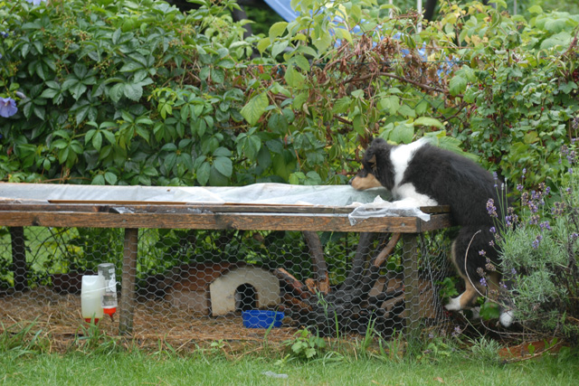 DSC_0289.jpg