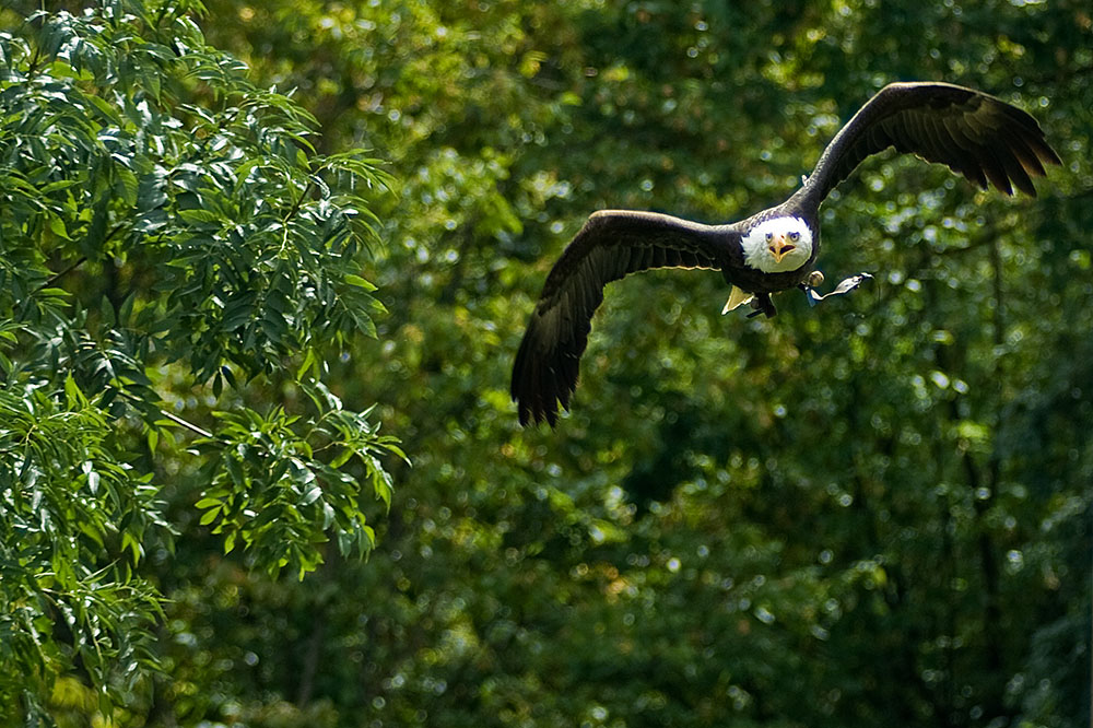 wksa_flug3.jpg