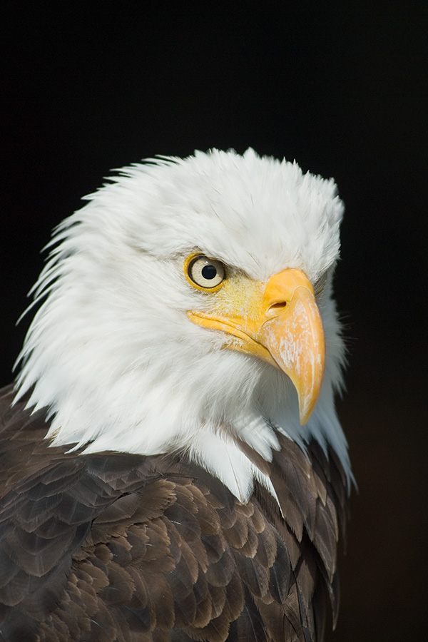 wksa_portrait.jpg