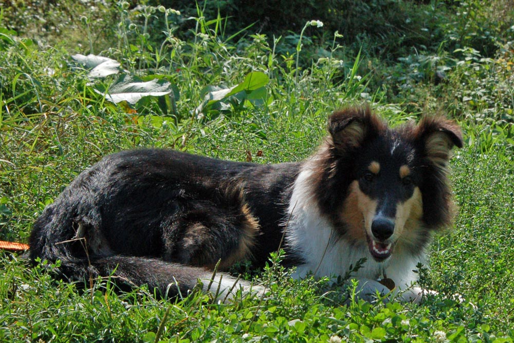 2009-09-20_10-07-52.jpg