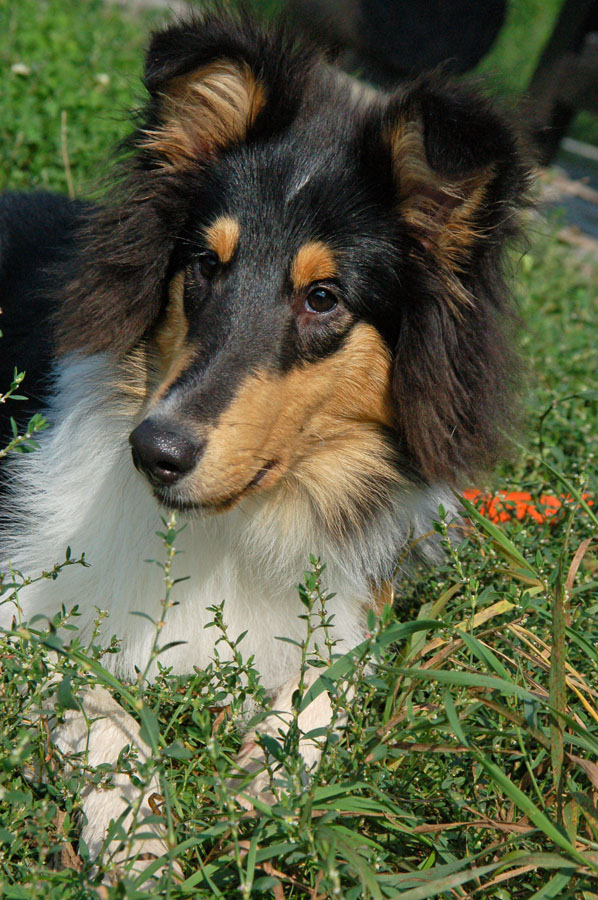 2009-09-20_10-10-05.jpg