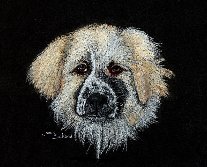 Shady - pastel, 5 x 7