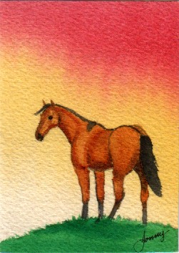 Buckskin 1-08