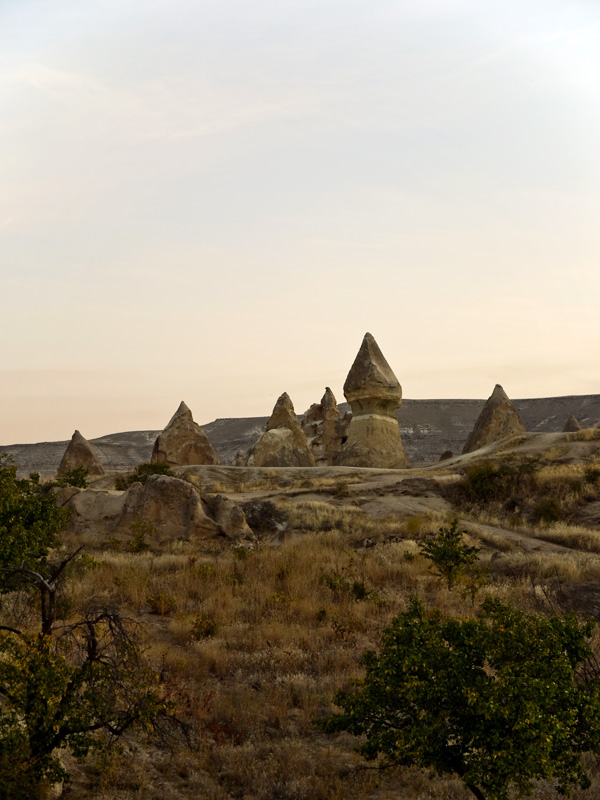Cual casas de gnomos