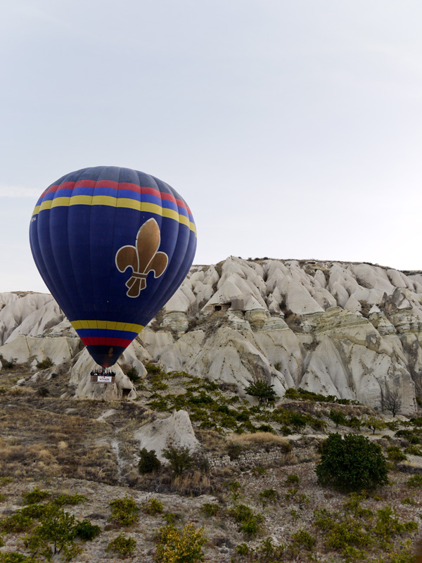 La flor de Lis en Capadocia