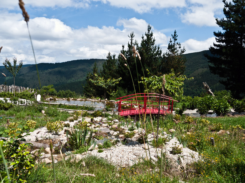 Restaurante Los Arndanos