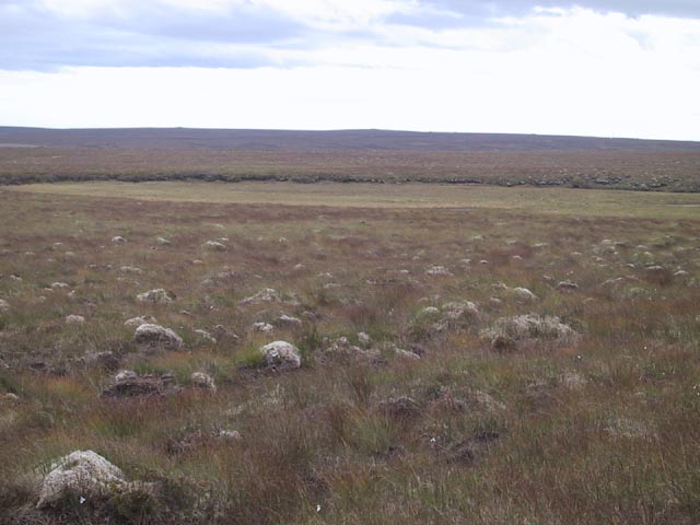 Grown over loch - absolute death trap as the water is still under there.jpg