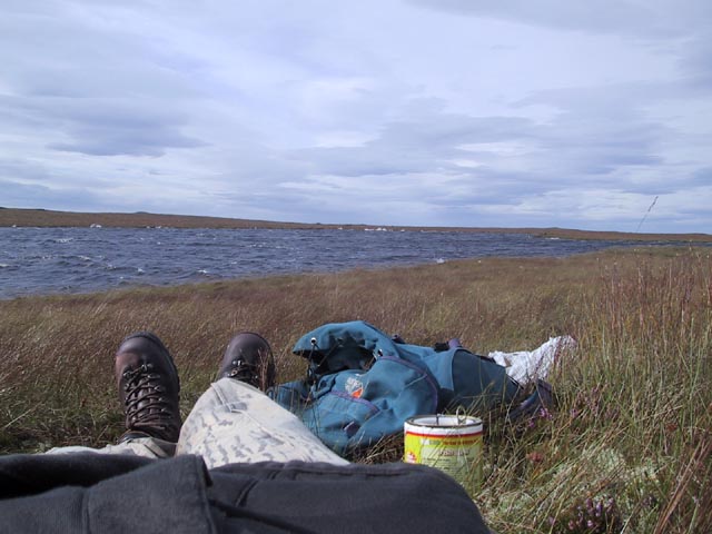 Lunch.jpg