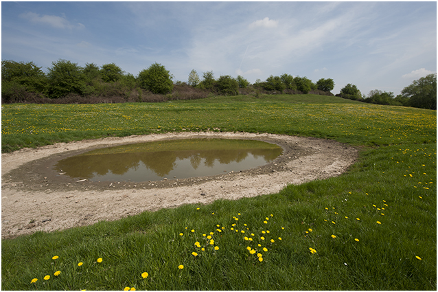 amfibie-poel in het landschap