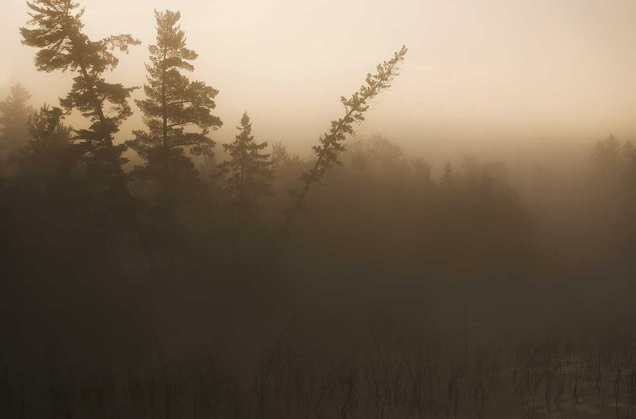 Foggy shore sunrise.jpg