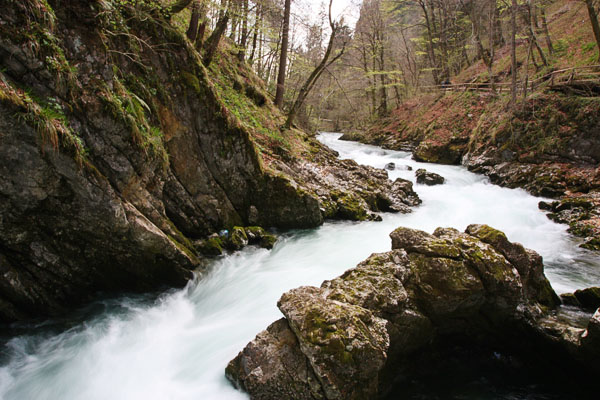 Vintgar Gorge