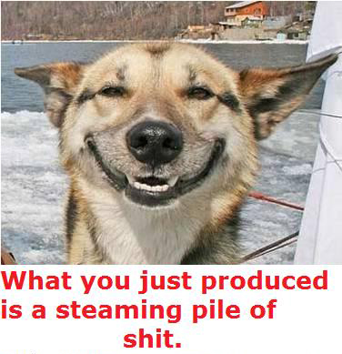 04 02 11 steaming pile of shit.jpg