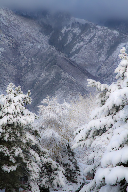 Looking East through the Snow