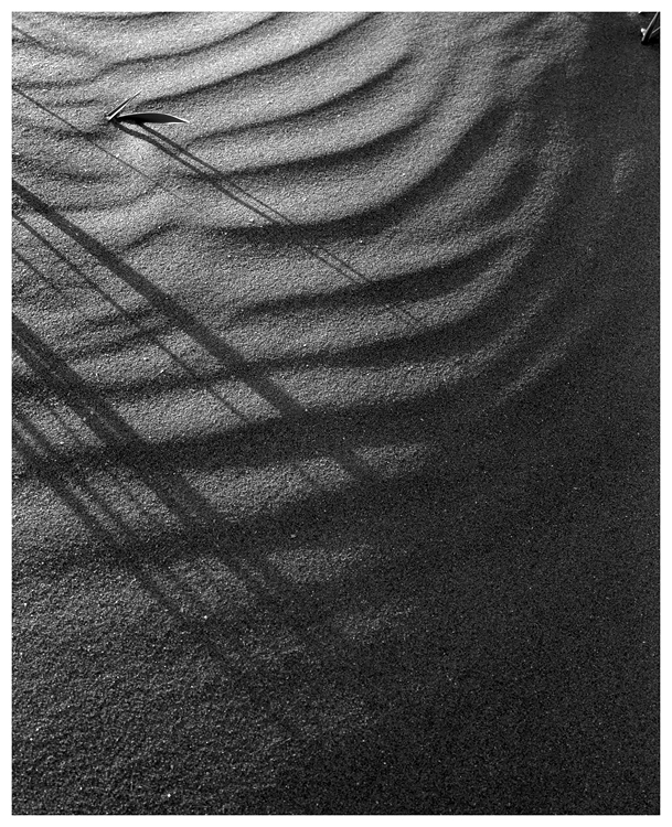 Sand Shadows, West Sands, St Andrews (2)