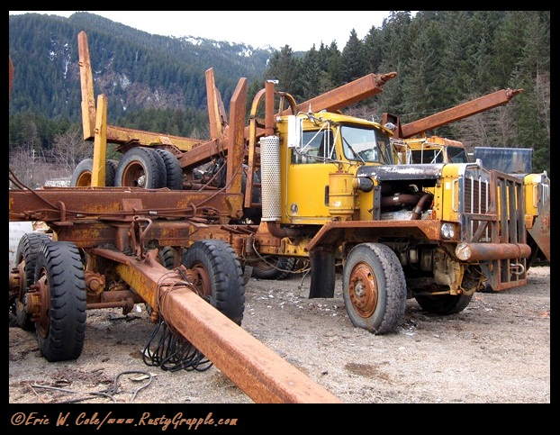Logging Trucks