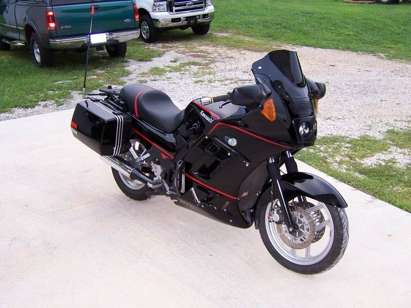 Black Beauty 2.jpg