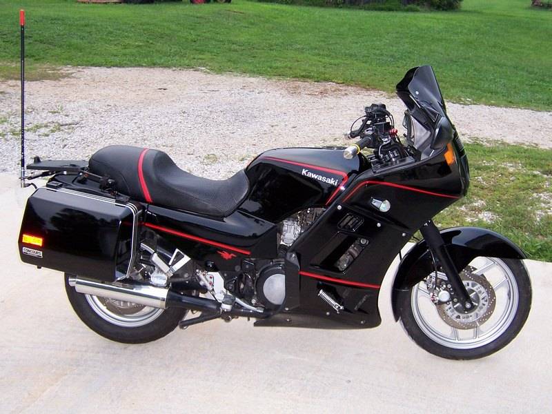 Black Beauty 3.jpg