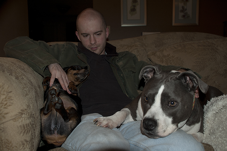 dogs_and_cats