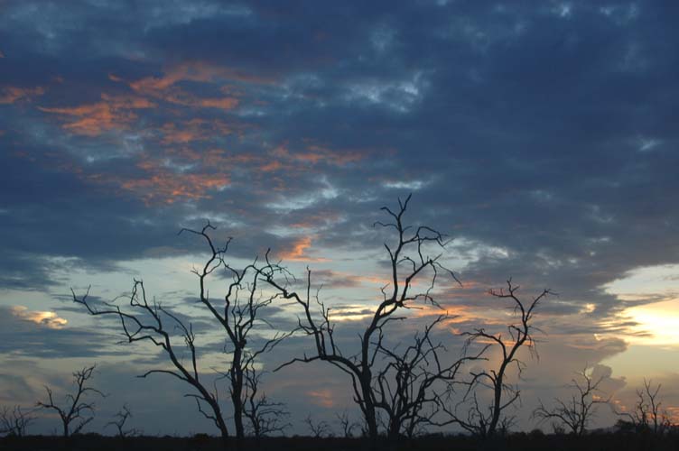 African Sunset
