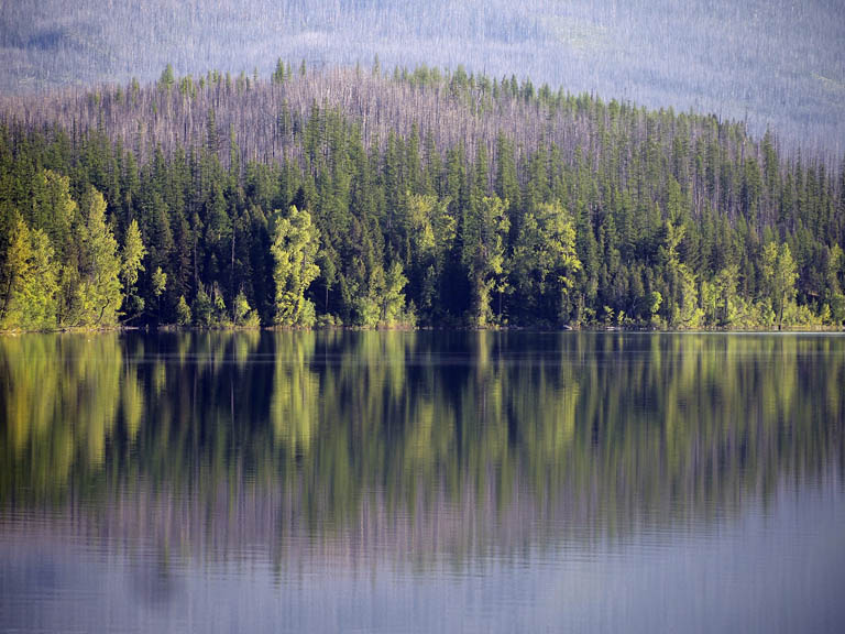 Its mostly wilderness.