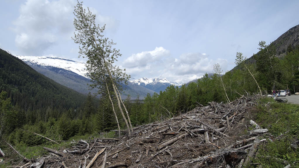 Avalanche site.