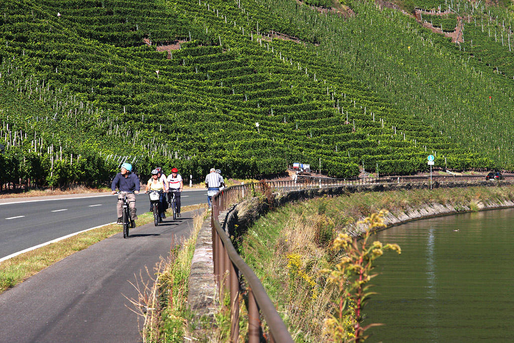 bike path along