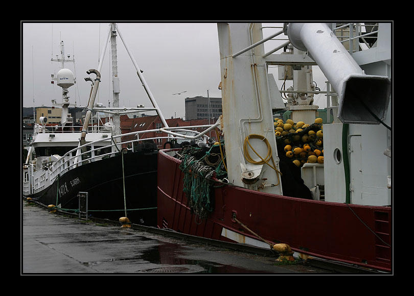 Bergen,habour