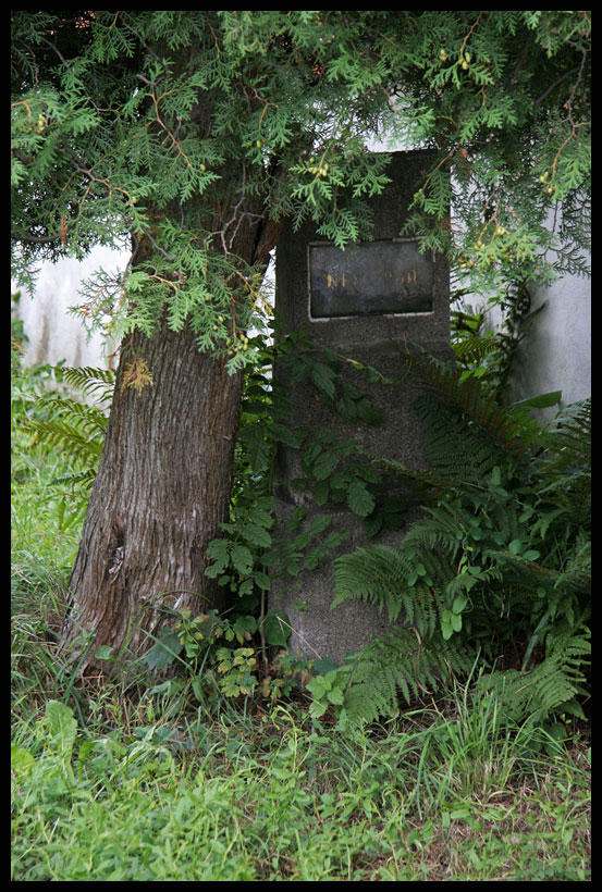Tombstone in old cemetery