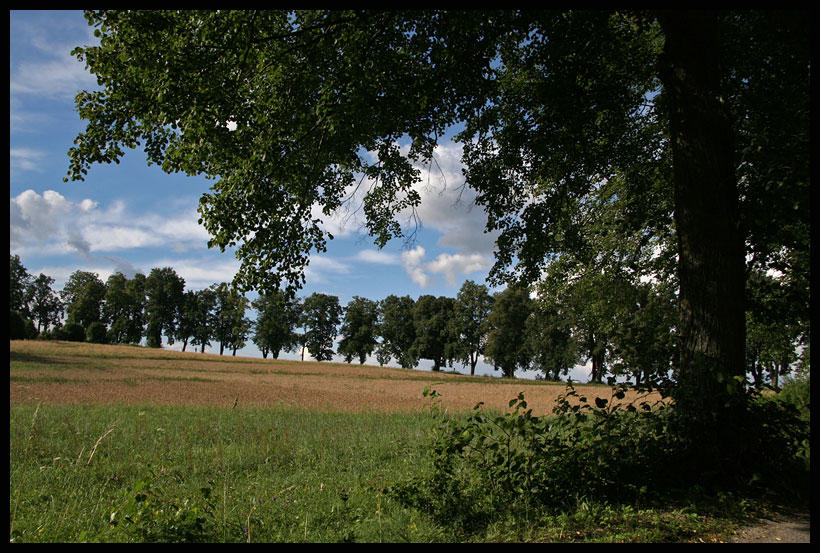 Country avenue