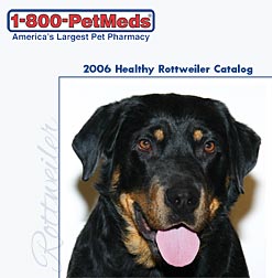 cover - my dog