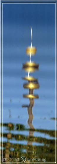 Sydney Tower Reflected 03.jpg