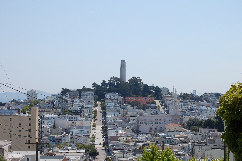 DSC_1600.JPG