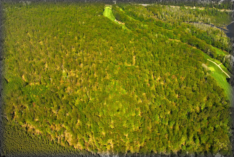 from up above