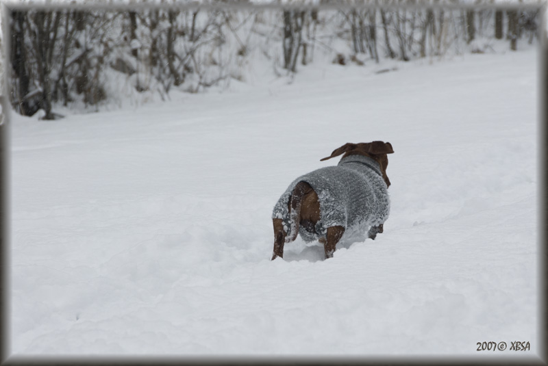 climbing in a snow...